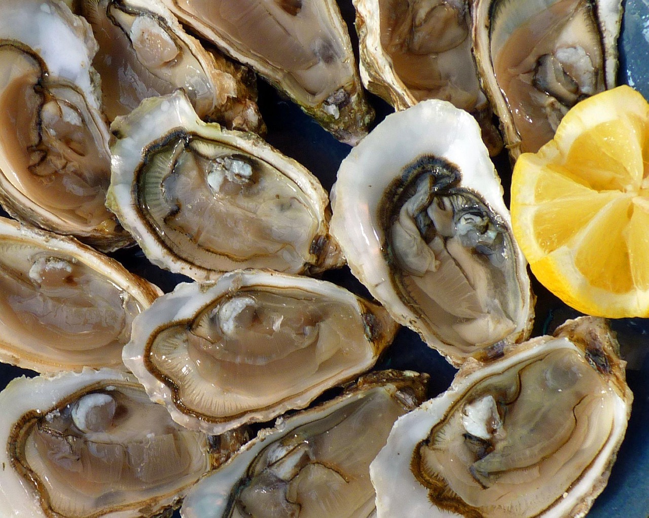 Ostriche: Fiesa Assoittici, “Bene proposta Lollobrigida, ma valutare di abbassare l’Iva su pescato dei nostri mari”